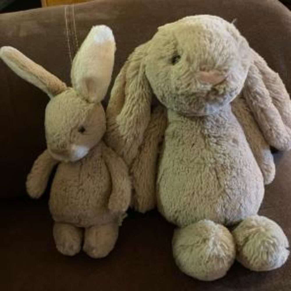 Jellycat Nibbles (RETIRED) and Bashful Bunny bundle